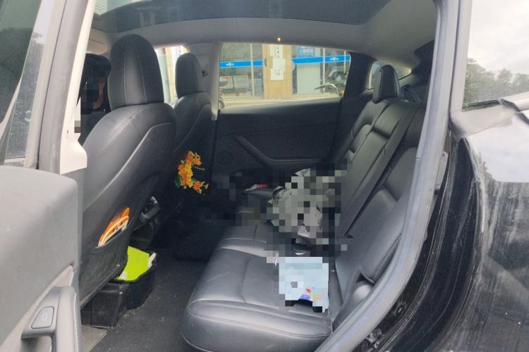 Used Tesla Model Y 2022 Rear-Wheel-Drive Version