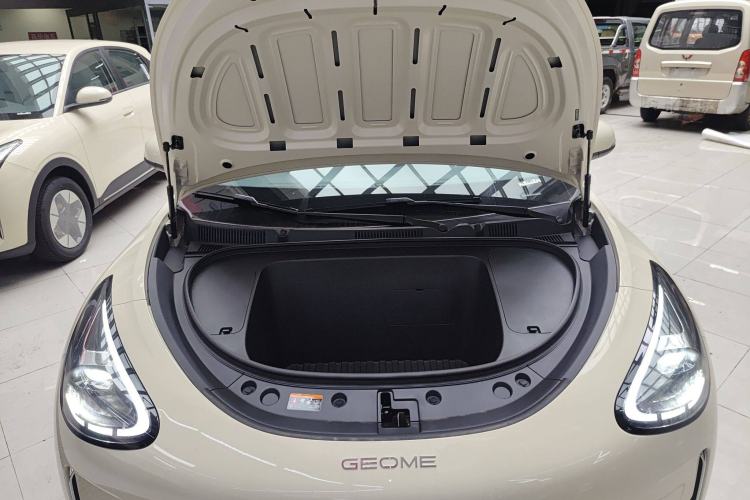 Used  Geome 2025 310km Dream Edition
