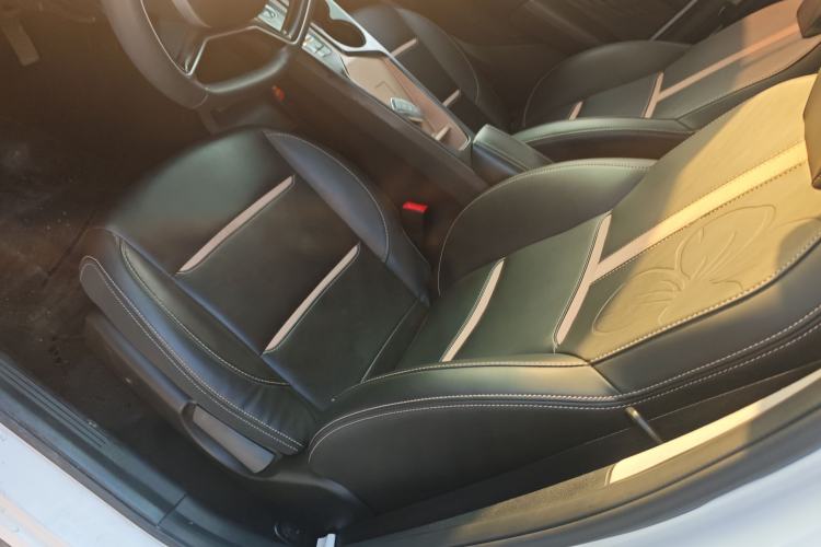 Used SOL E10X 2022 Flower Fairy Design Four-Leaf Clover