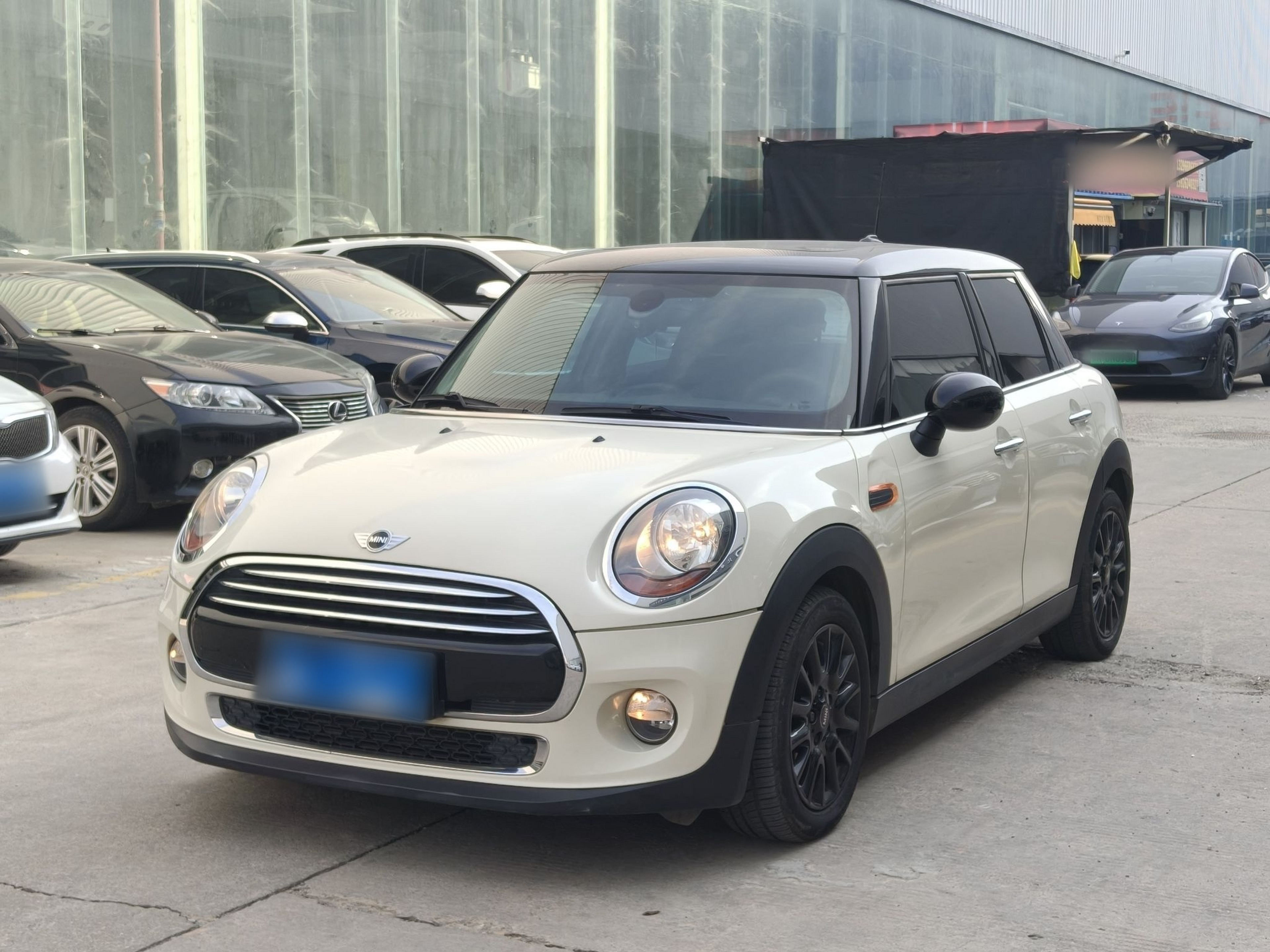 تحت مقدمة السيارة