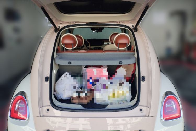 Used ORA Ballet Cat 2022 401 km Nutcracker Edition