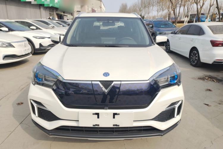 Used Venucia T60EV 2020 AI Enjoyment Model
