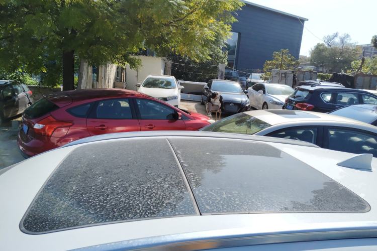 Used Honda Vezel 2017 1.8L CVT Front-Wheel Drive Pioneer Edition
