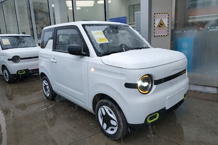 Used  Panda 2025 210 km – Yuanqi Bear
