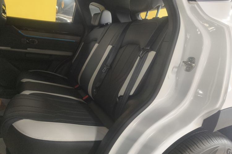 Used  Shanhai L6 2024 1.5TD DHT MAX
