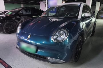 Used ORA Good Cat 2022 Morandi Edition 400km Standard Range Premium Version Lithium-Ion Battery