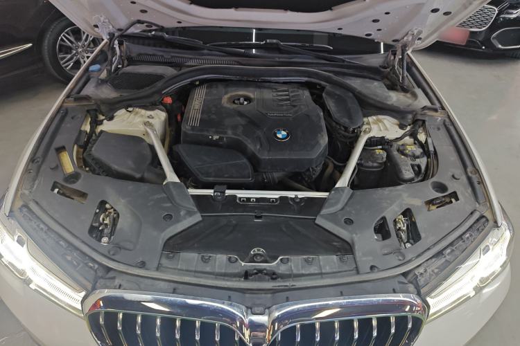 Used BMW 5 Series 2021 530Li Leading Luxury Package
