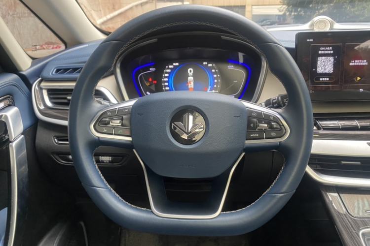 Used Livan Maple 80v PRO 2022 Comfort Edition Standard Range Version
