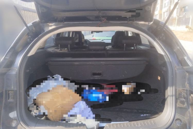 Used Haval F7 2019 2.0T Two-Wheel Drive i-Van China V standard
