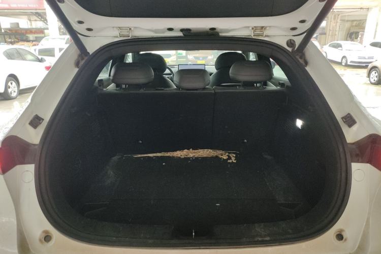 Used  S05 2024 510Max Pure Electric Version