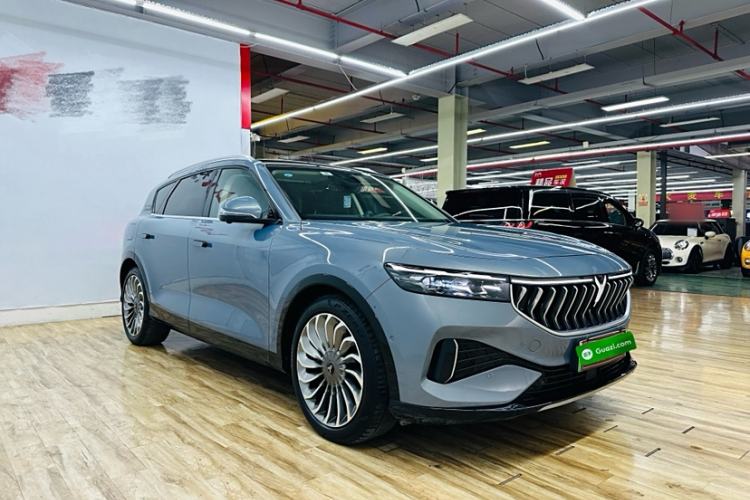 Used VOYAH FREE 2021 Four-Wheel Drive Standard Range-Extended Exclusive Luxury Package
