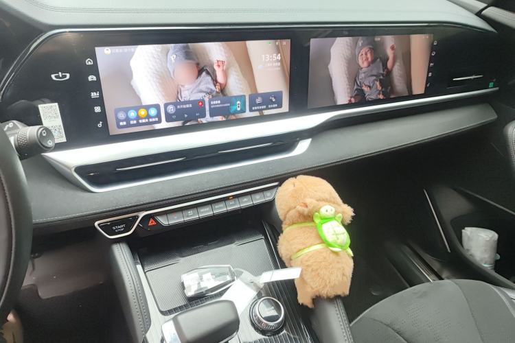 Used Geely Auto Monjaro L 2023 2.0TD High-Power Automatic Two-Wheel Drive Flagship Version
