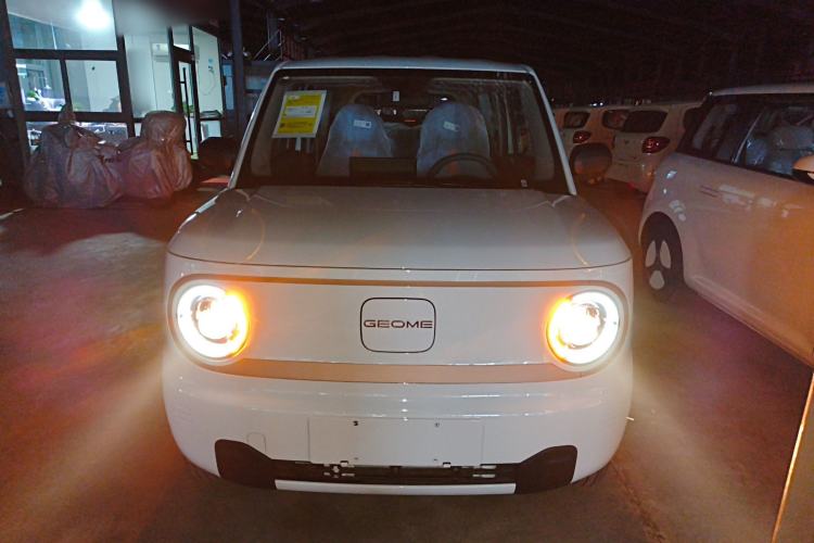 Used  Panda 2024 Panda Mini 200km Endurance Bear