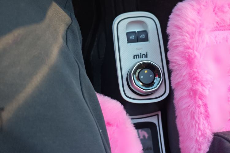 Used  Panda 2025 210km Panda Kart
