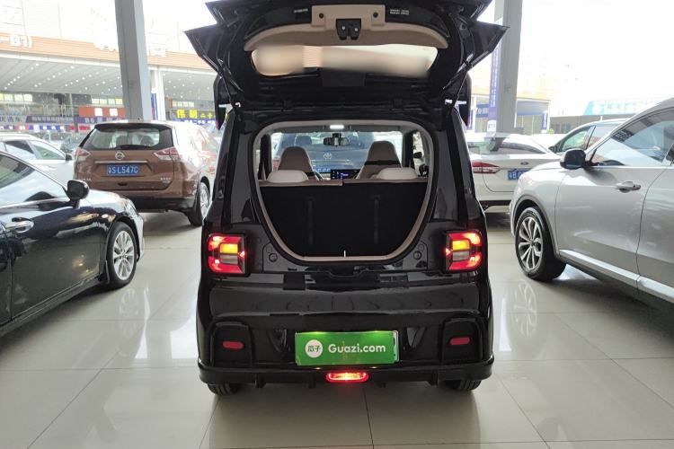 Used  Panda 2024 200km Panda Kart
