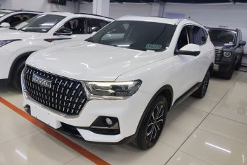 Used Haval H6 2023 National Trend Edition 1.5T Automatic Urban Version
