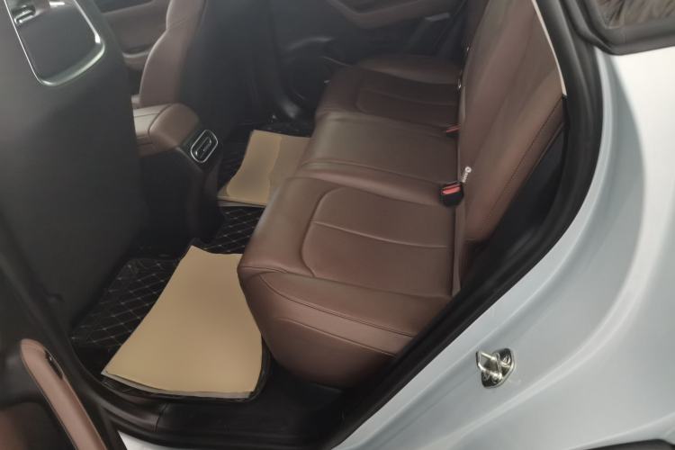 Used Leapmotor C11 2023 Pure Electric 500 Comfort Edition
