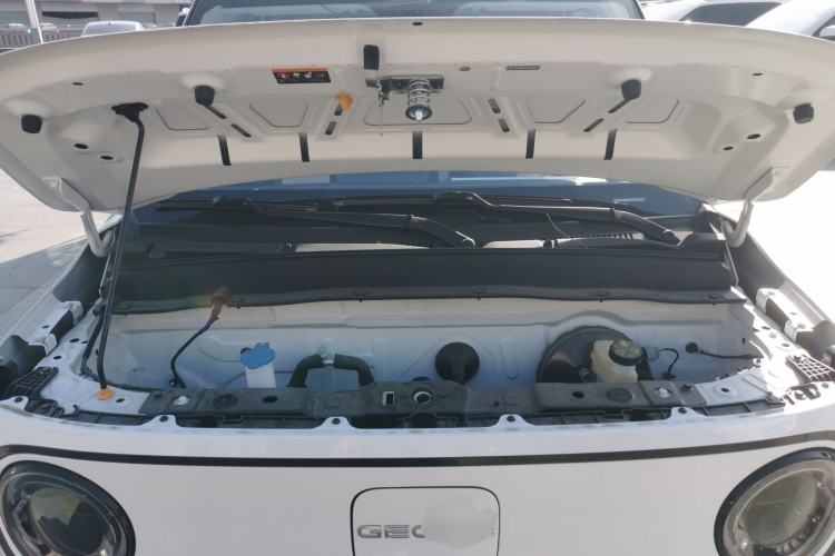 Used  Panda 2024 200km Panda Kart
