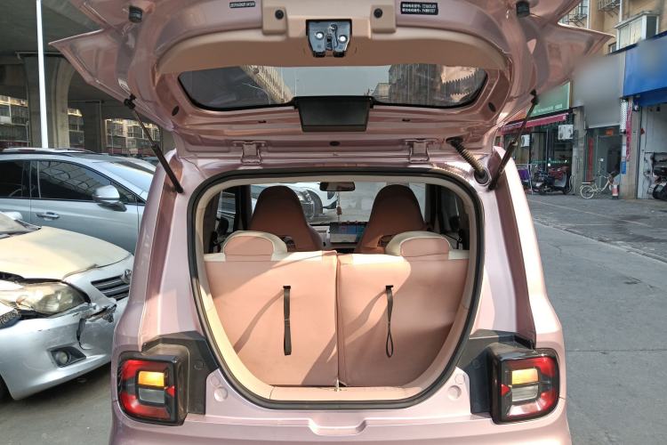 Used  Panda 2023 Panda Mini 200km Endurance Bear
