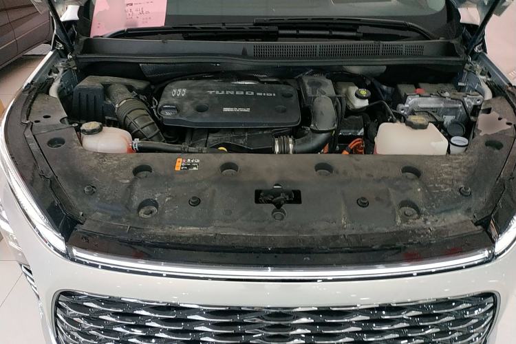 Used Buick GL8 New Energy 2024 Lu Zun Luxury Edition 7-Seater
