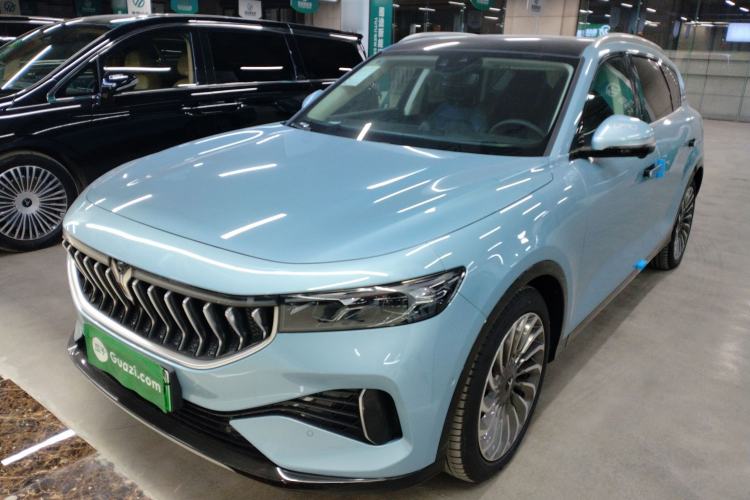 Used VOYAH FREE 2021 Two-Wheel Drive Standard Pure Electric City Edition