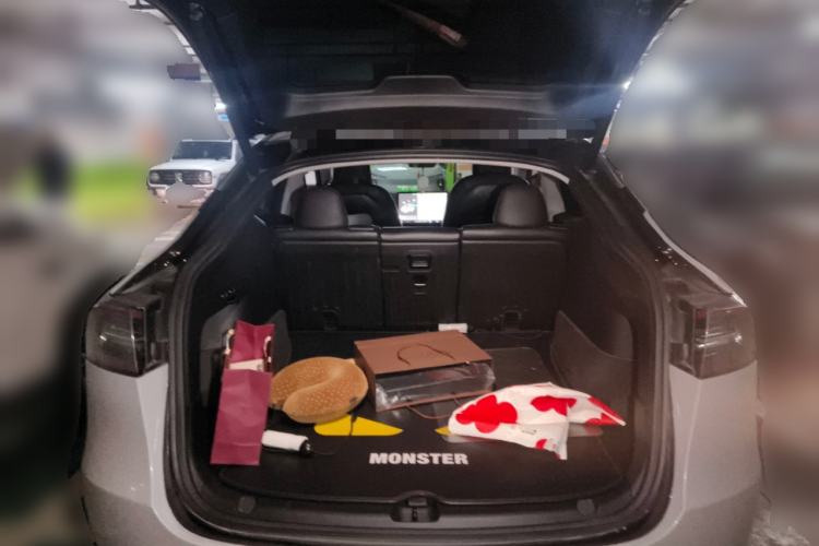 Used Tesla Model Y 2021 Standard Range Rear-Wheel Drive Version
