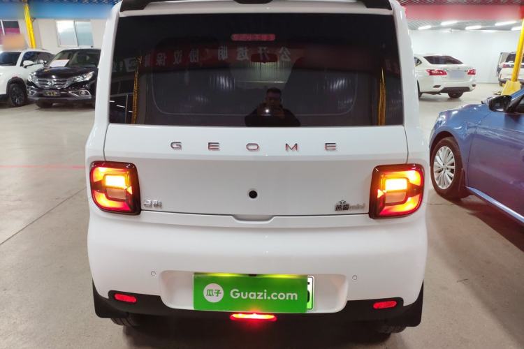 Used  Panda 2025 210 km – Yuanqi Bear