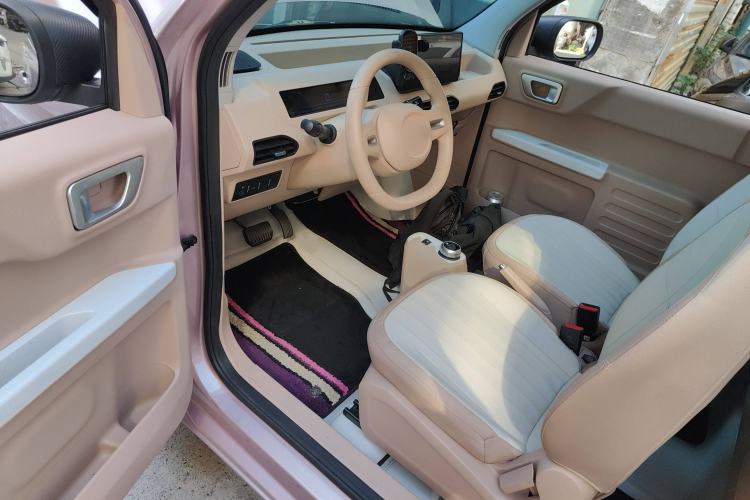 Used  Panda 2024 Panda Mini 200km Endurance Bear
