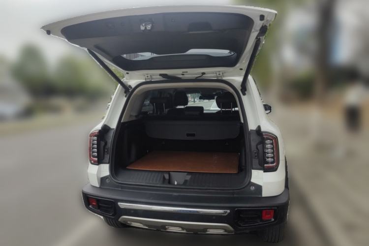 Used Haval DARGO 2021 2.0T DCT 4x4 Chinese Rural Dog Edition
