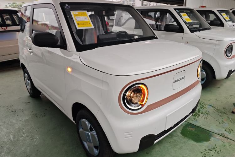 Used  Panda 2024 Panda Mini 200km Endurance Bear
