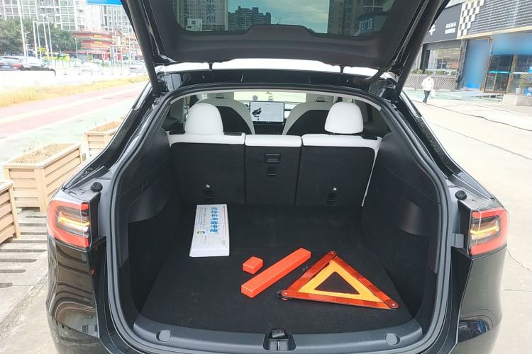 Used Tesla Model Y 2021 Standard Range Rear-Wheel Drive Version
