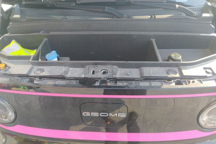 Used  Panda 2024 200km Panda Kart
