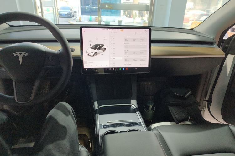 Used Tesla Model Y 2021 Standard Range Rear-Wheel Drive Version
