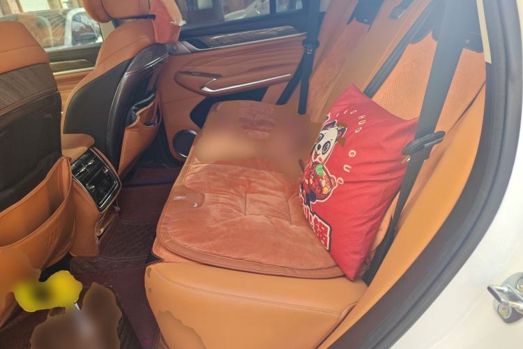 Used Tank 500 2022 3.0T Business Edition Summit Version 5 Seats
