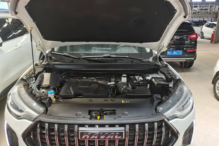 Used Haval LHERY 2022 Jingxiang Edition 1.5T Copper Rabbit
