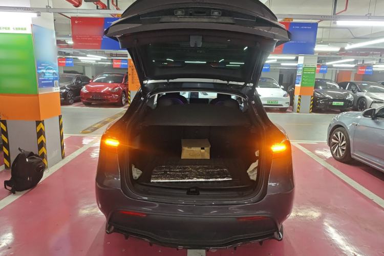 Used Tesla Model Y 2021 Standard Range Rear-Wheel Drive Version
