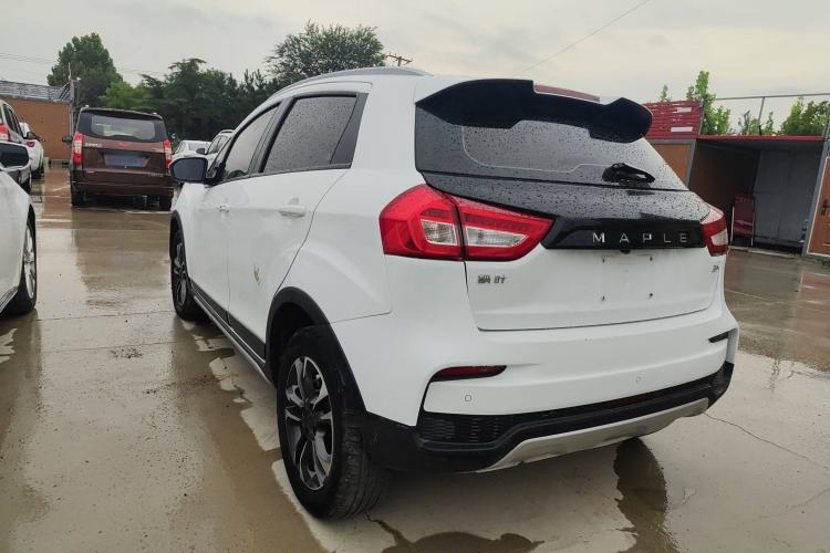 Used Livan Maple 30X 2020 Style Edition
