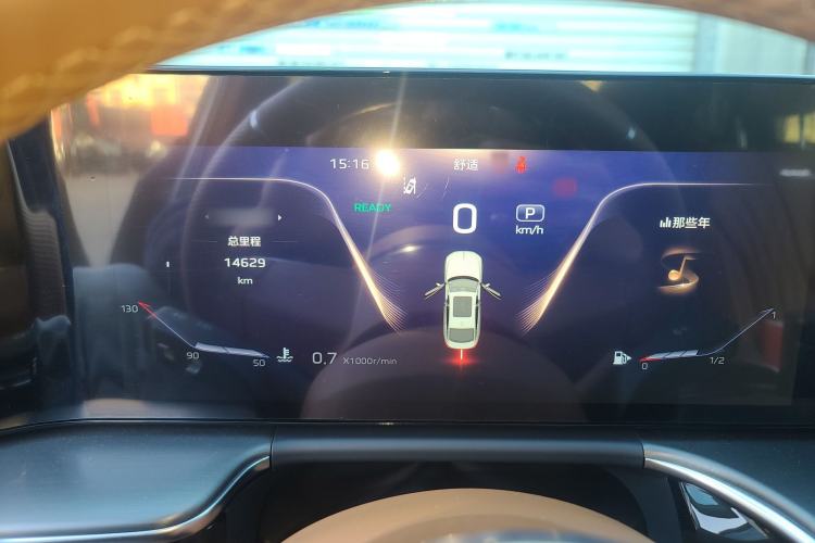 Used Hongqi H9 2024 2.0T Qixiang Private Style Edition