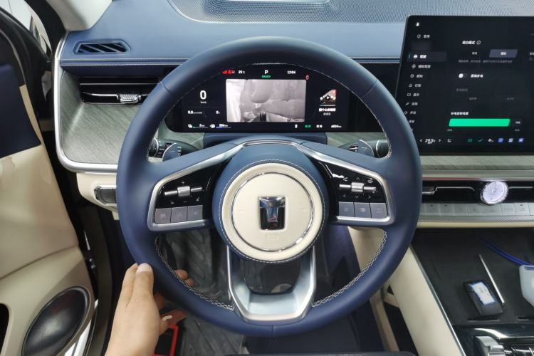 Used Tank 500 New Energy 
