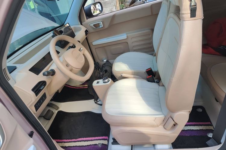 Used  Panda 2024 Panda Mini 200km Endurance Bear
