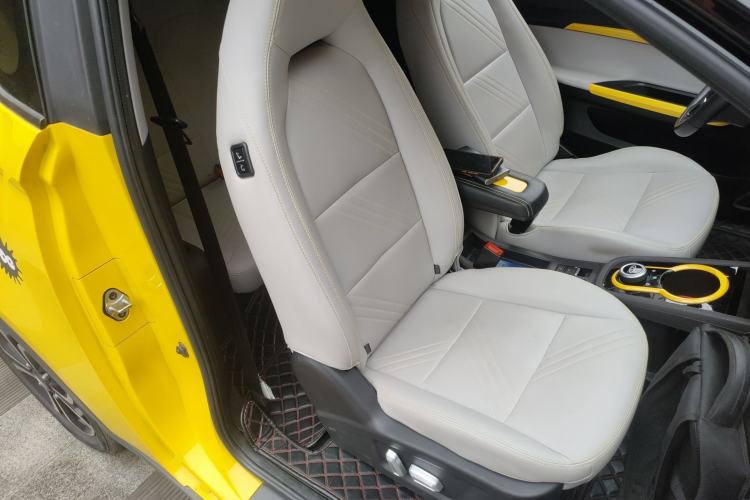 Used Chery Little Ant 2021 200 000-Yuan Ant Fan Edition Oxygen Version Lithium-Ion Battery 301 km