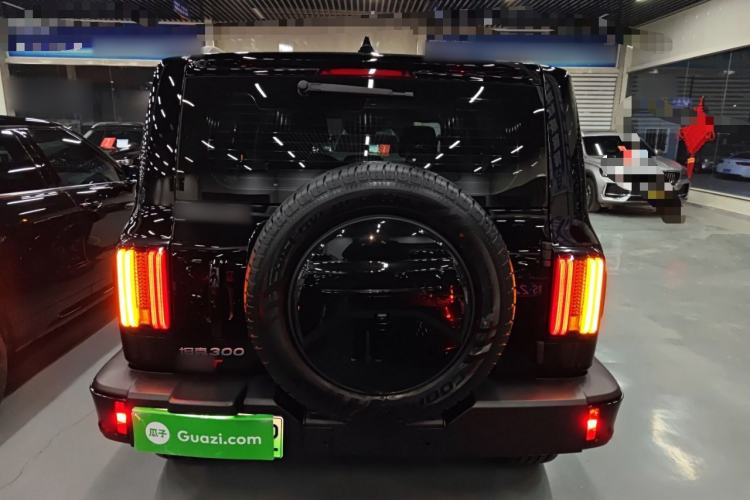 Used Tank 300 New Energy 2024 Hi4-T
