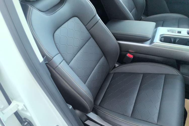 Used Haval DARGO 2024 2.0T DCT Chinese Rural Dog Edition
