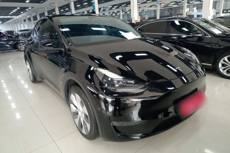Used Tesla Model Y 2021 Standard Range Rear-Wheel Drive Version
