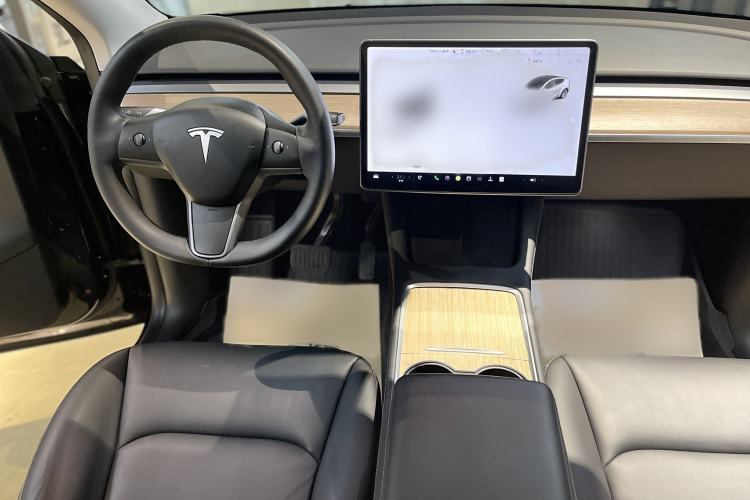 Used Tesla Model Y 2021 Standard Range Rear-Wheel Drive Version
