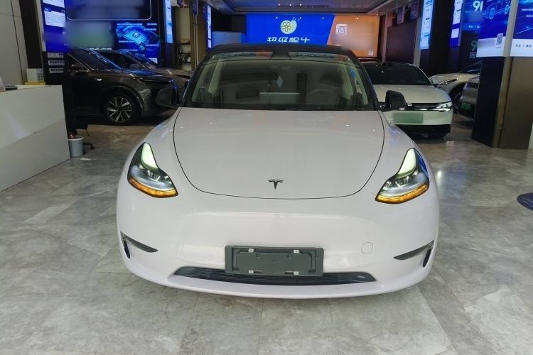 Used Tesla Model Y 2021 Standard Range Rear-Wheel Drive Version
