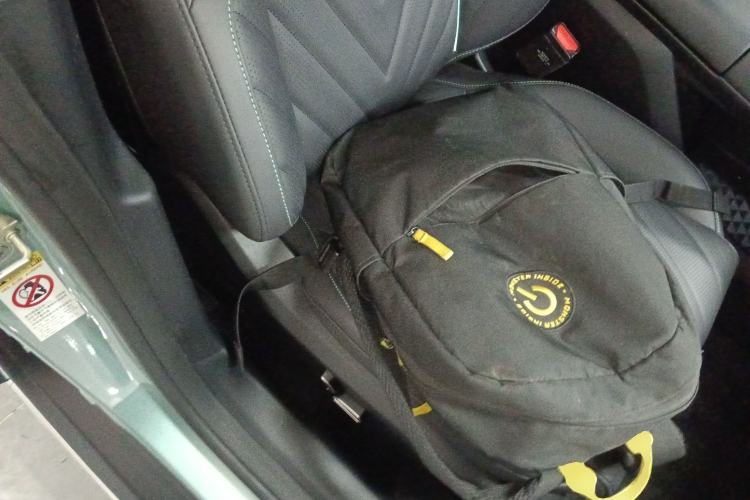 Used  SL03 2024 530 Plus Pure Electric Version
