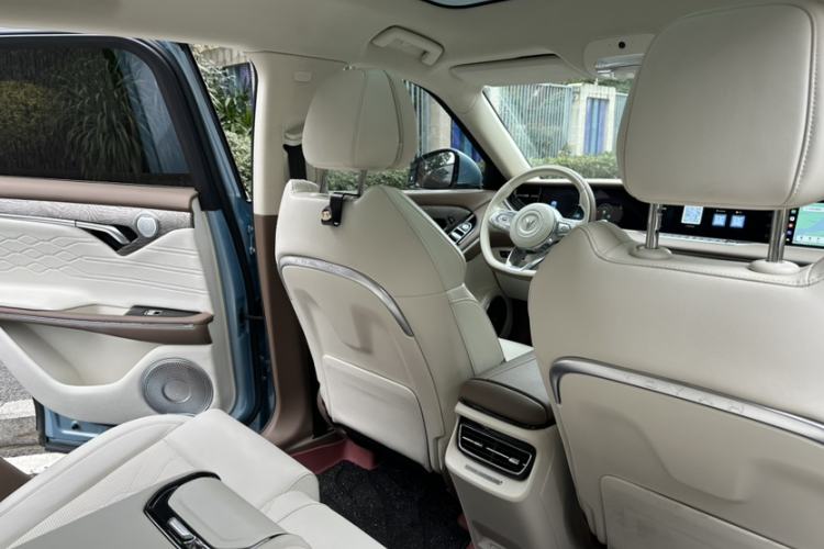 Used VOYAH FREE 2021 Four-Wheel Drive Standard Range-Extended Exclusive Luxury Package
