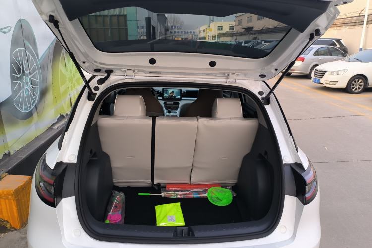 Used  Geome 2025 310km Youth Edition