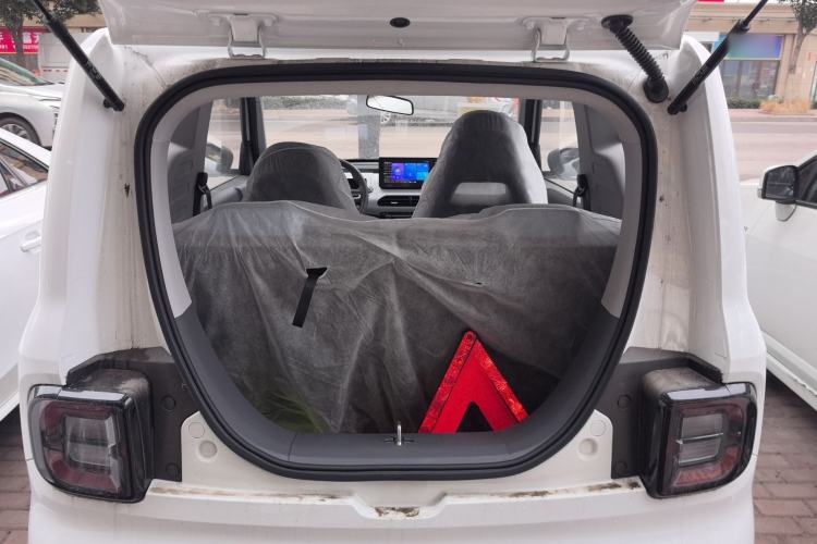 Used  Panda 2024 Panda Mini 200km Endurance Bear
